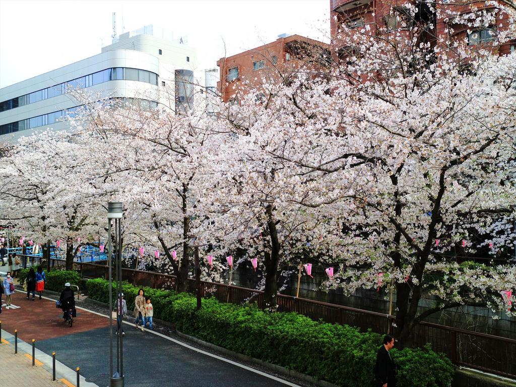 Coto Tokyo Shibuya 2 Apartment Екстериор снимка